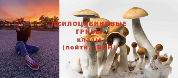 мефедрон Новодвинск
