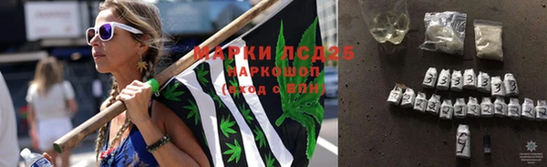 a pvp Курчалой