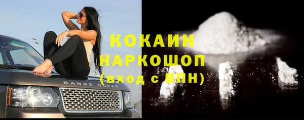 хмурый Дмитровск