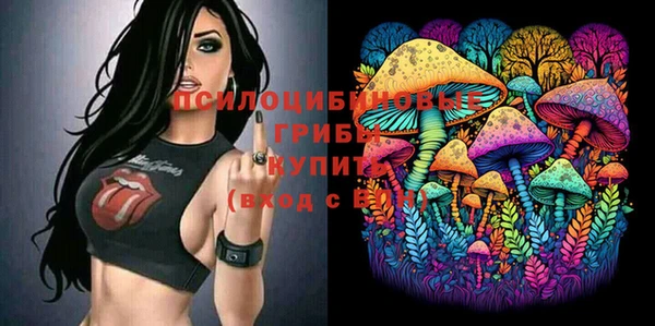 хмурый Дмитровск