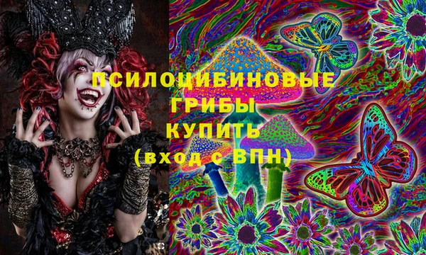 хмурый Дмитровск