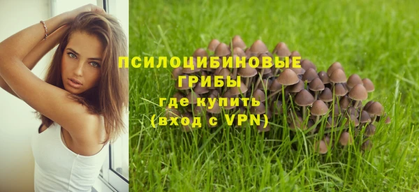 хмурый Дмитровск