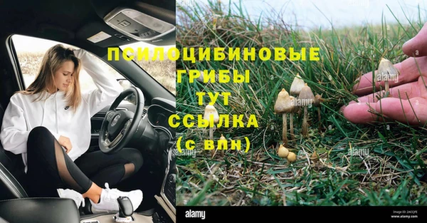 первитин Новозыбков