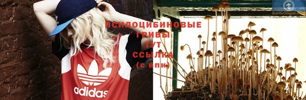 кокаин колумбия Дмитриев