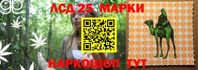гашик Канаш