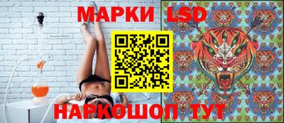 гашик Канаш