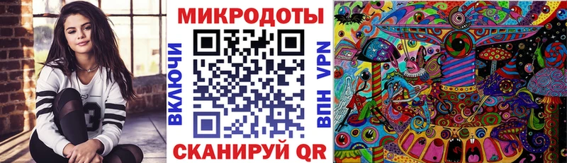Псилоцибиновые грибы прущие грибы  Осинники 