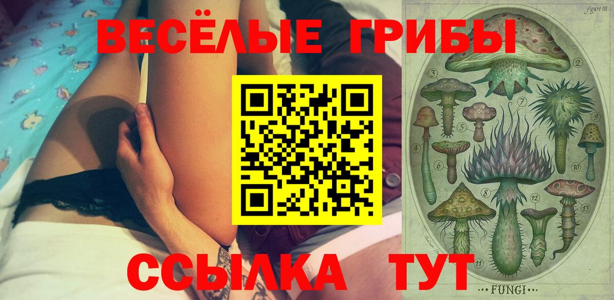 Галлюциногенные грибы Cubensis Осинники