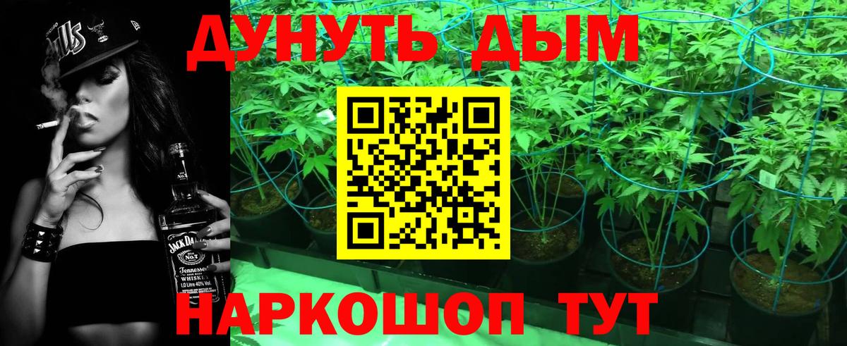 Канабис гибрид Осинники